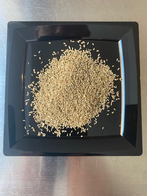 Ajowanzaad ( Indiasche Tijm )