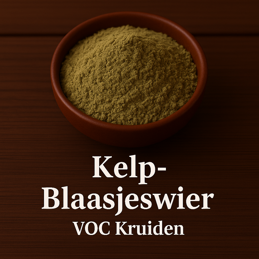 Kelp of Blaasjeswier Gemalen