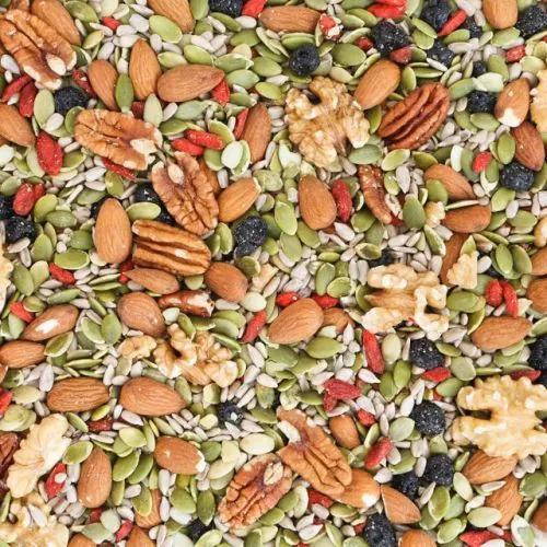 Zadenmix gemengde noten 500 gram