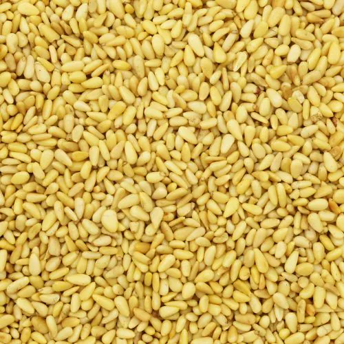 Pijnboompitten Premium kwaliteit 1000 gram