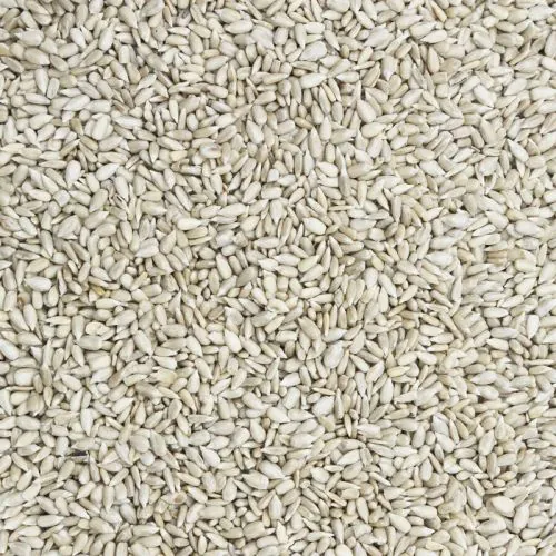 Zonnebloempitten Raw BIO