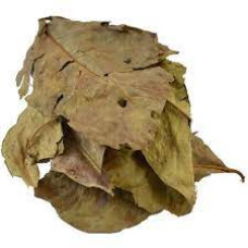 Daun Salam blad 100 gram