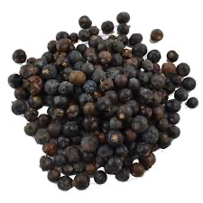 Jeneverbessen