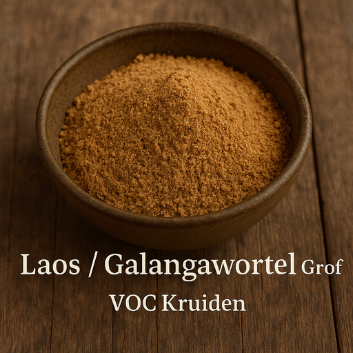 Laos ( Galangawortel )